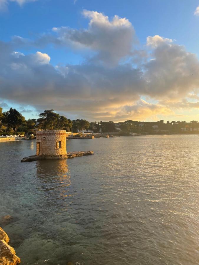 Parc Du Cap Luxury Apartment 昂蒂布 外观 照片
